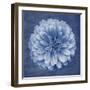 Floral Imprint IV-Collezione Botanica-Framed Giclee Print