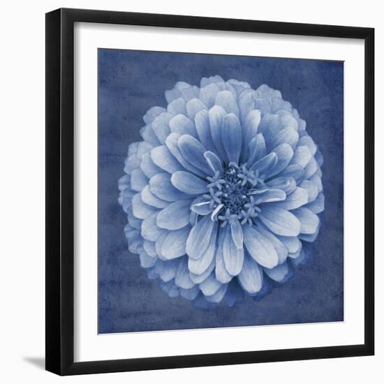 Floral Imprint IV-Collezione Botanica-Framed Giclee Print