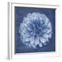 Floral Imprint IV-Collezione Botanica-Framed Giclee Print