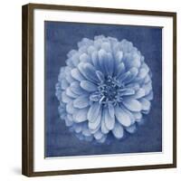 Floral Imprint IV-Collezione Botanica-Framed Giclee Print