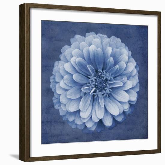 Floral Imprint IV-Collezione Botanica-Framed Giclee Print