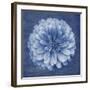 Floral Imprint IV-Collezione Botanica-Framed Giclee Print