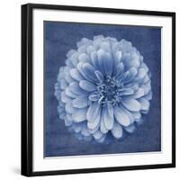 Floral Imprint IV-Collezione Botanica-Framed Giclee Print