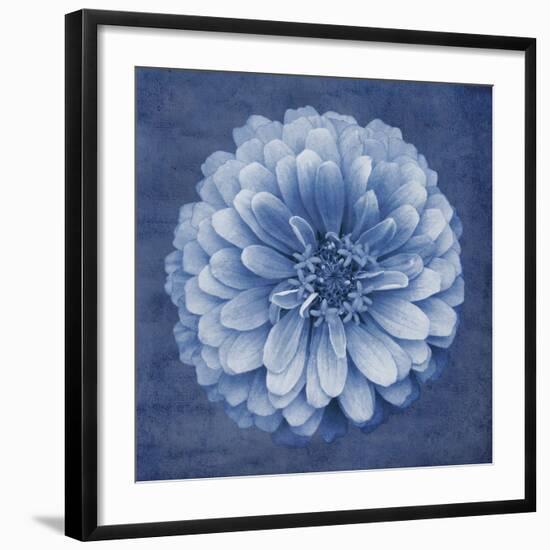 Floral Imprint IV-Collezione Botanica-Framed Giclee Print