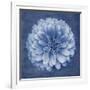 Floral Imprint IV-Collezione Botanica-Framed Giclee Print