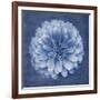 Floral Imprint IV-Collezione Botanica-Framed Giclee Print