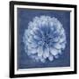 Floral Imprint IV-Collezione Botanica-Framed Giclee Print