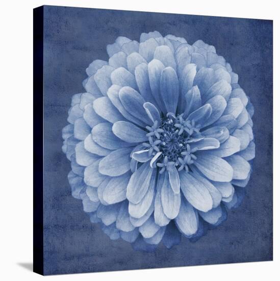 Floral Imprint IV-Collezione Botanica-Stretched Canvas