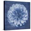 Floral Imprint IV-Collezione Botanica-Stretched Canvas