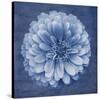 Floral Imprint IV-Collezione Botanica-Stretched Canvas