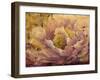 Floral in Bloom I-Tim OToole-Framed Art Print