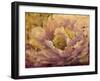 Floral in Bloom I-Tim OToole-Framed Art Print