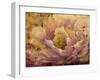 Floral in Bloom I-Tim OToole-Framed Art Print