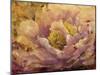 Floral in Bloom I-Tim OToole-Mounted Art Print