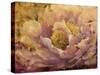 Floral in Bloom I-Tim OToole-Stretched Canvas