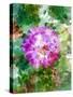 Floral in Bloom I-Chamira Young-Stretched Canvas