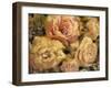 Floral in Bloom II-Tim OToole-Framed Art Print