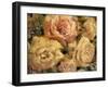 Floral in Bloom II-Tim OToole-Framed Art Print