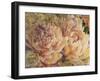 Floral in Bloom III-Tim OToole-Framed Art Print