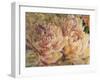 Floral in Bloom III-Tim OToole-Framed Art Print