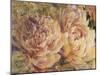 Floral in Bloom III-Tim OToole-Mounted Art Print
