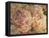 Floral in Bloom III-Tim OToole-Framed Stretched Canvas