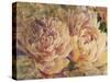 Floral in Bloom III-Tim OToole-Stretched Canvas