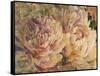 Floral in Bloom III-Tim OToole-Framed Stretched Canvas