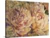 Floral in Bloom III-Tim OToole-Stretched Canvas