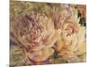 Floral in Bloom III-Tim OToole-Mounted Art Print