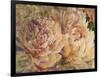 Floral in Bloom III-Tim OToole-Framed Art Print