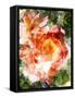 Floral in Bloom III-Chamira Young-Framed Stretched Canvas