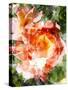 Floral in Bloom III-Chamira Young-Stretched Canvas