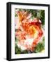 Floral in Bloom III-Chamira Young-Framed Art Print