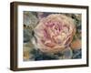 Floral in Bloom IV-Tim OToole-Framed Art Print