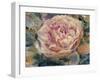 Floral in Bloom IV-Tim OToole-Framed Art Print