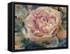 Floral in Bloom IV-Tim OToole-Framed Stretched Canvas