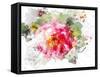 Floral in Bloom VI-Chamira Young-Framed Stretched Canvas