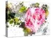 Floral in Bloom VII-Chamira Young-Stretched Canvas