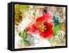 Floral in Bloom XV-Chamira Young-Framed Stretched Canvas