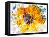 Floral in Bloom XX-Chamira Young-Framed Stretched Canvas