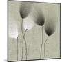 Floral in Shades II-null-Mounted Art Print