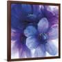 Floral Intensity II-Nick Vivian-Framed Giclee Print