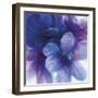 Floral Intensity II-Nick Vivian-Framed Giclee Print