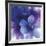 Floral Intensity II-Nick Vivian-Framed Giclee Print