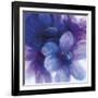 Floral Intensity II-Nick Vivian-Framed Giclee Print