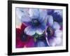 Floral Intensity III-Nick Vivian-Framed Giclee Print