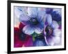 Floral Intensity III-Nick Vivian-Framed Giclee Print