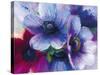 Floral Intensity III-Nick Vivian-Stretched Canvas