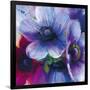 Floral Intensity IV-Nick Vivian-Framed Giclee Print